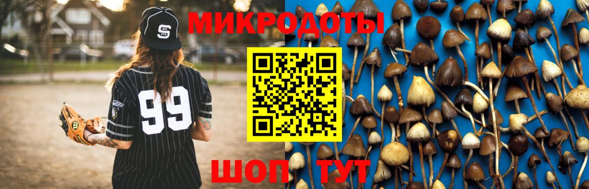Псилоцибиновые грибы прущие грибы  Псилоцибиновые грибы прущие грибы  Вход с VPN  Звенигород 